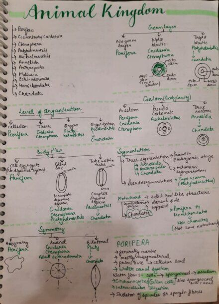 Use simple notes or flowcharts to remember these steps - Chaitanya's Academy.