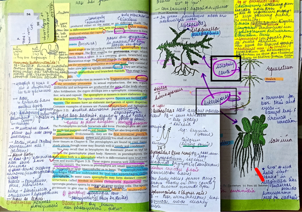 Making your own notes is a way to prepare for NEET Biology.