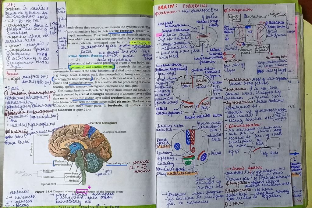 Master diagrams and processes.