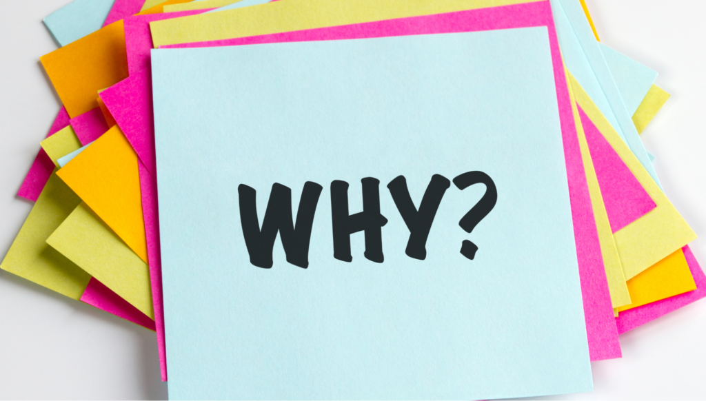 Class 12 is the most critical year for NEET preparation due to syllabus load, revision pressure, and exam timelines.