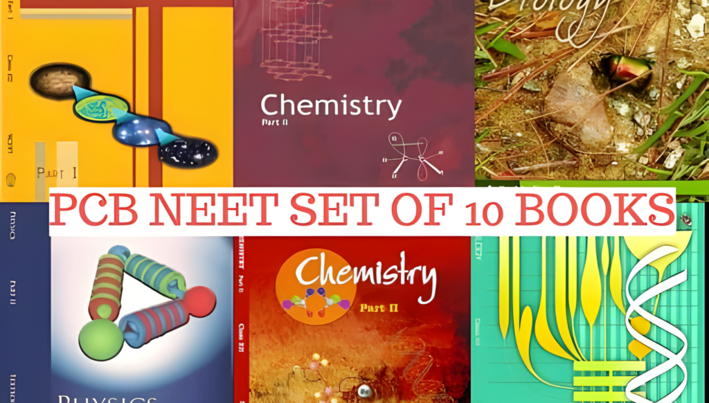 Why NCERT comes first in a NEET class 11 study plan to build strong concepts before using reference books.